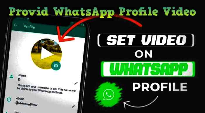 Provid WhatsApp Profile Video Apk Blank Profile Picture WA