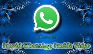 Provid WhatsApp Profile Video Apk Blank Profile Picture WA