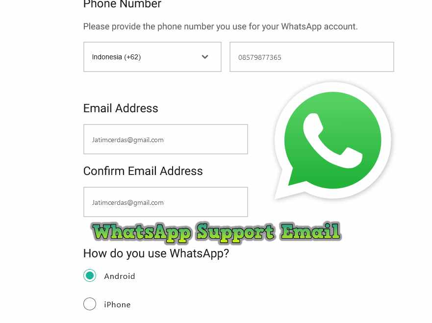 WhatsApp Support Email Contact Customer Service WA 24 Jam
