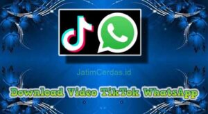 Download Video TikTok WhatsApp (WA) Tanpa Watermark (WM)